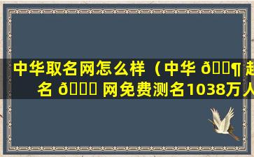 中华取名网怎么样（中华 🐶 起名 🐛 网免费测名1038万人起名）